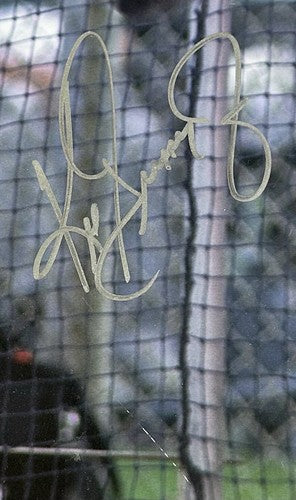 Ken Griffey Jr Signed 16x20 Photo Cincinnati Reds LE /300 Autograph UDA COA HOF