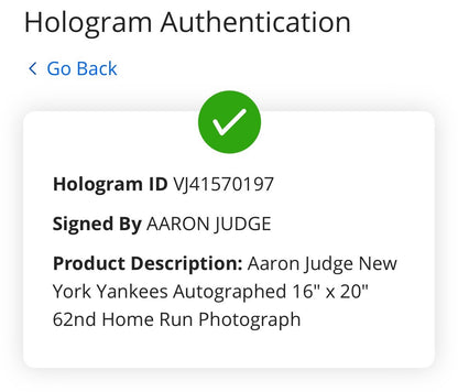 Aaron Judge Yankees Signed 16x20 Photo Framed Record 62nd HR Mint Auto Fanatics