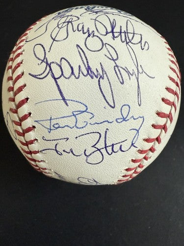 1978 Yankees Team Signed World Series Baseball Reggie Jackson Goose Steiner Coa