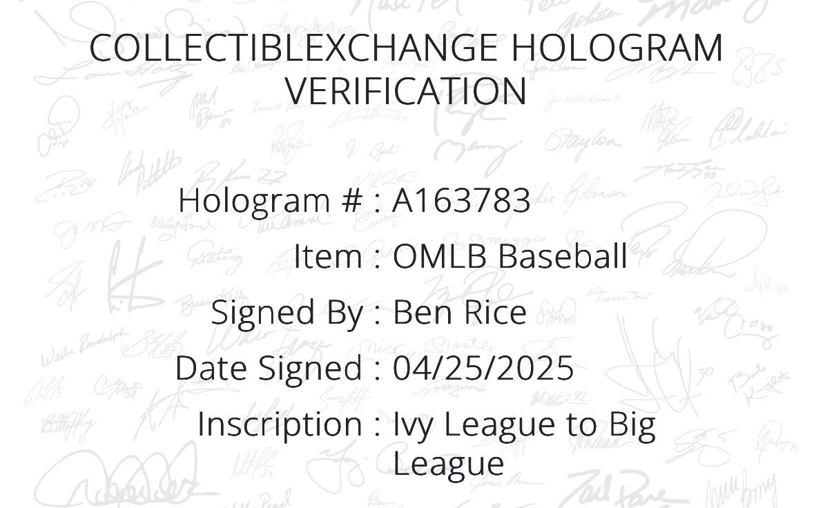 Ben Rice Signed Official MLB Baseball Yankees Ivy League Autograph Steiner COA