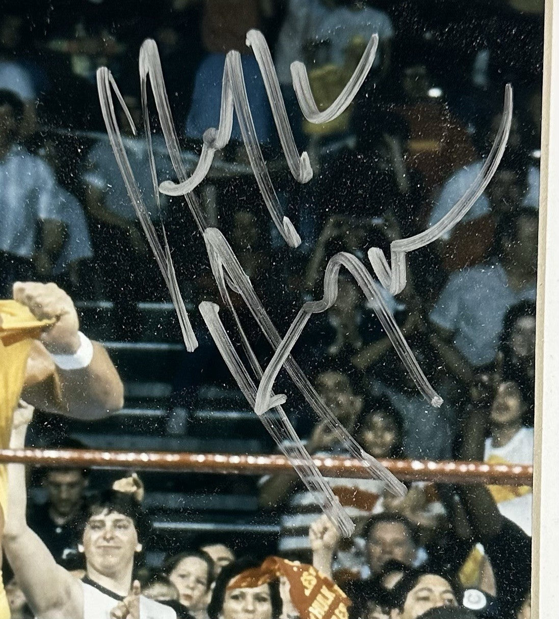 Hulk Hogan Signed 8x10 Framed Photo WWF Wrestling Autograph Steiner COA