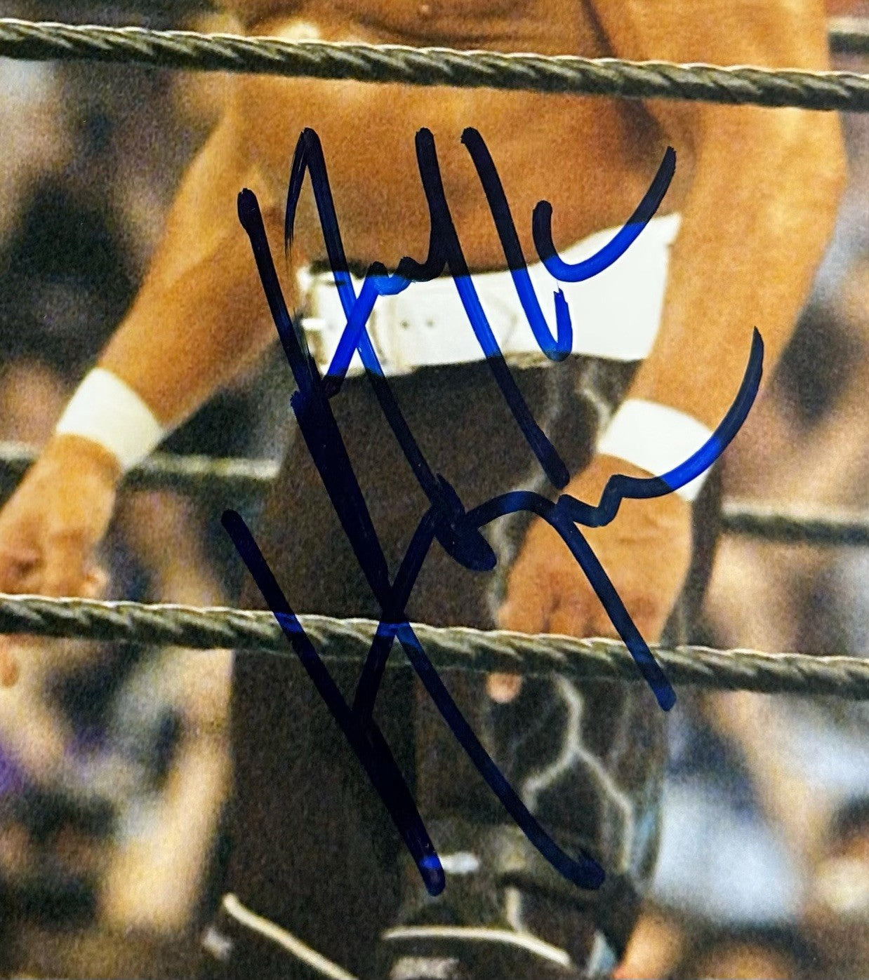 Hulk Hogan Signed 8x10 Framed Photo WWF Wrestling Autograph The Rock PSA COA
