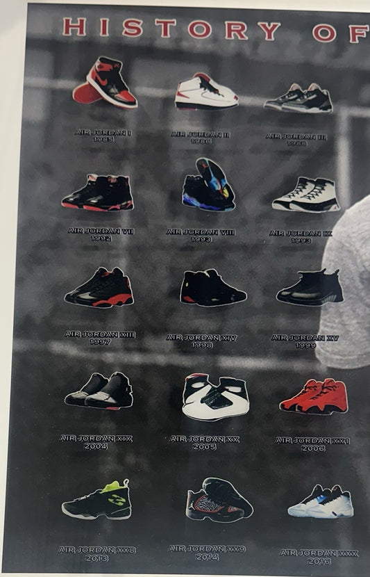 Michael Jordan History of Air Jordans 22x32 3D Framed Photo Sneaker Bulls HOF