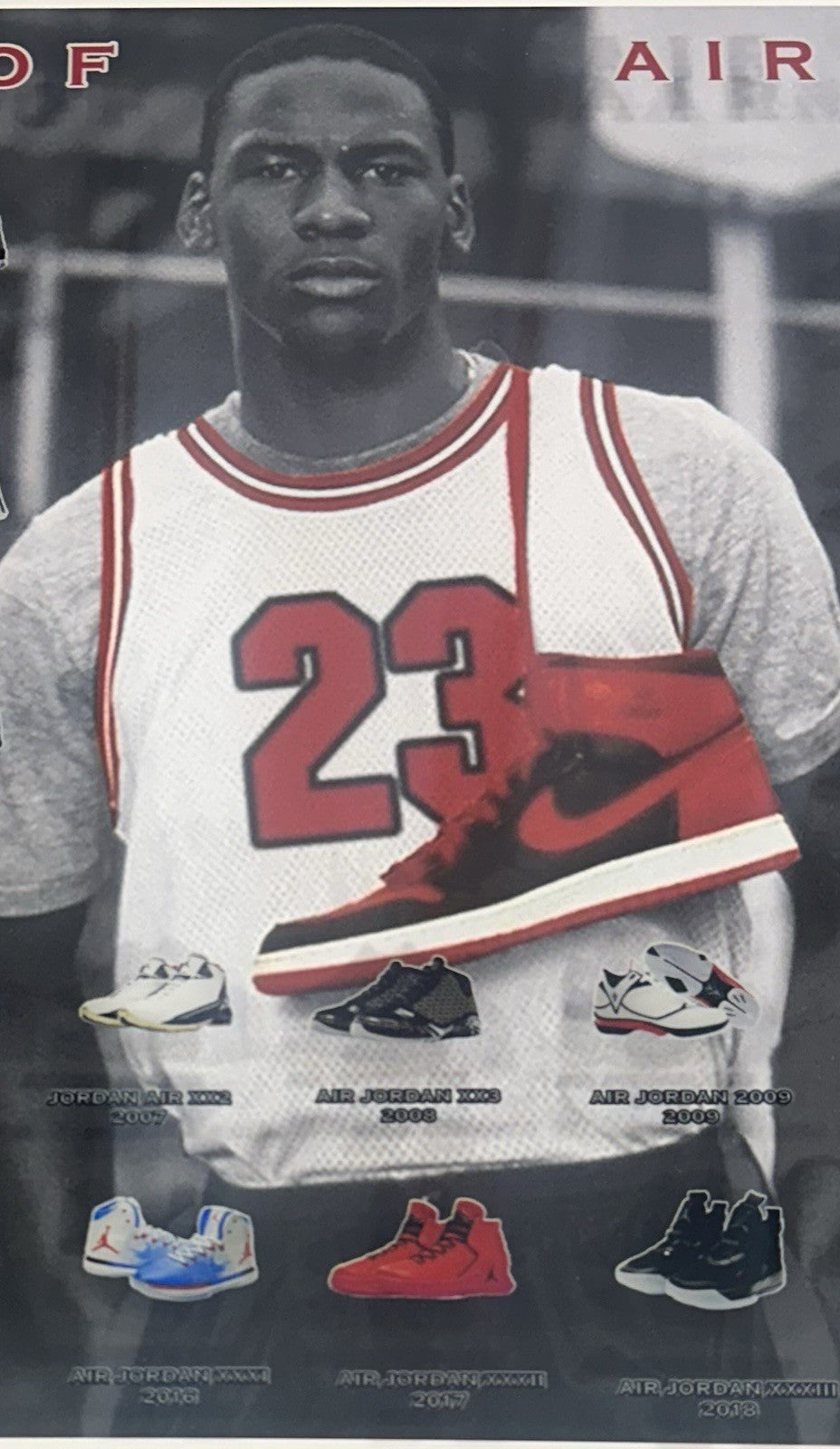Michael Jordan History of Air Jordans 22x32 3D Framed Photo Sneaker Bulls HOF