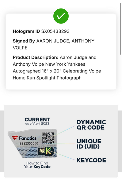 Aaron Judge & Anthony Volpe Yankees Signed 16x20 Photo Framed Auto Fanatics COA