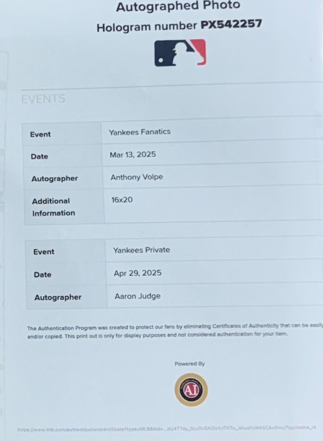 Aaron Judge & Anthony Volpe Yankees Signed 16x20 Photo Framed Auto Fanatics COA
