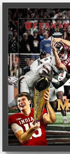 Fernando Mendoza NCAA Indiana Heisman TD Dive 3D Photo Framed Championship MVP