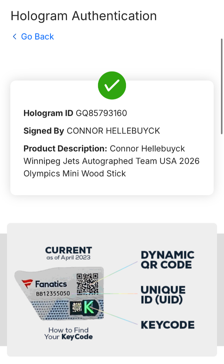 Connor Hellebuyck Signed Team USA 2026 Olympics Mini Stick Auto Fanatics Jets