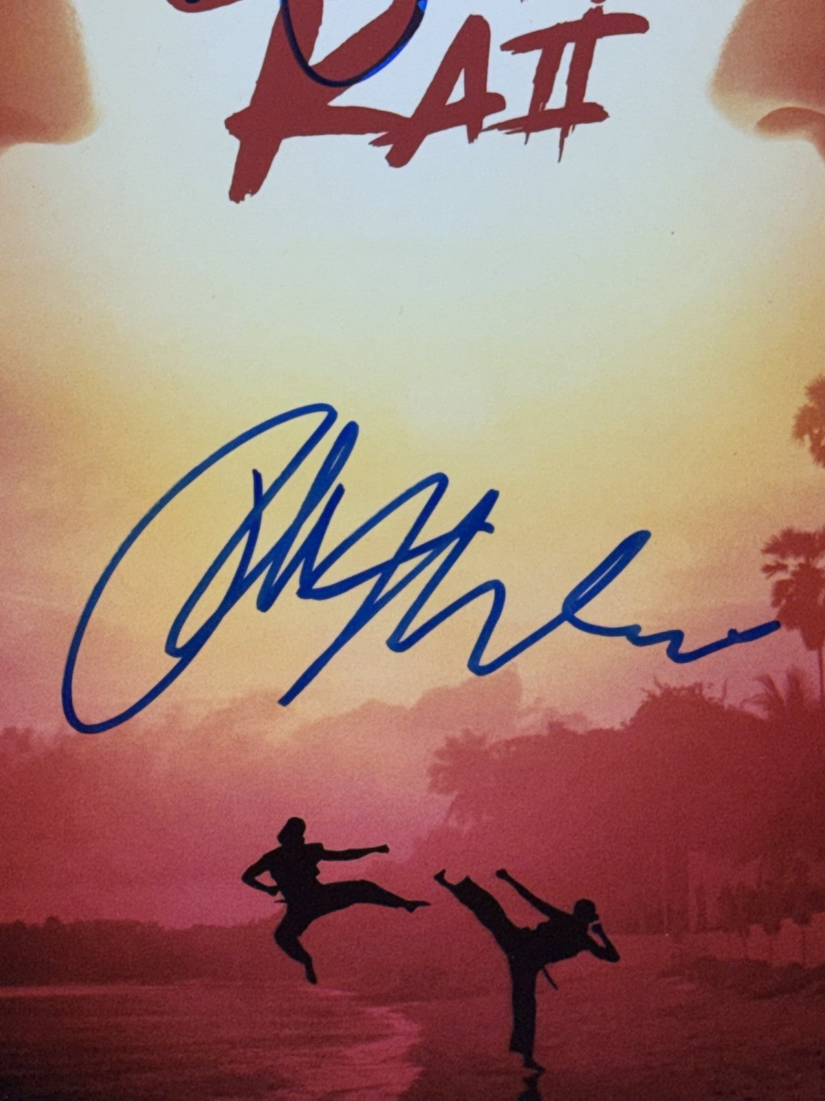 Ralph Macchio William Zabka Signed 11x14 Framed Cobra Kai Photo Auto JSA COA