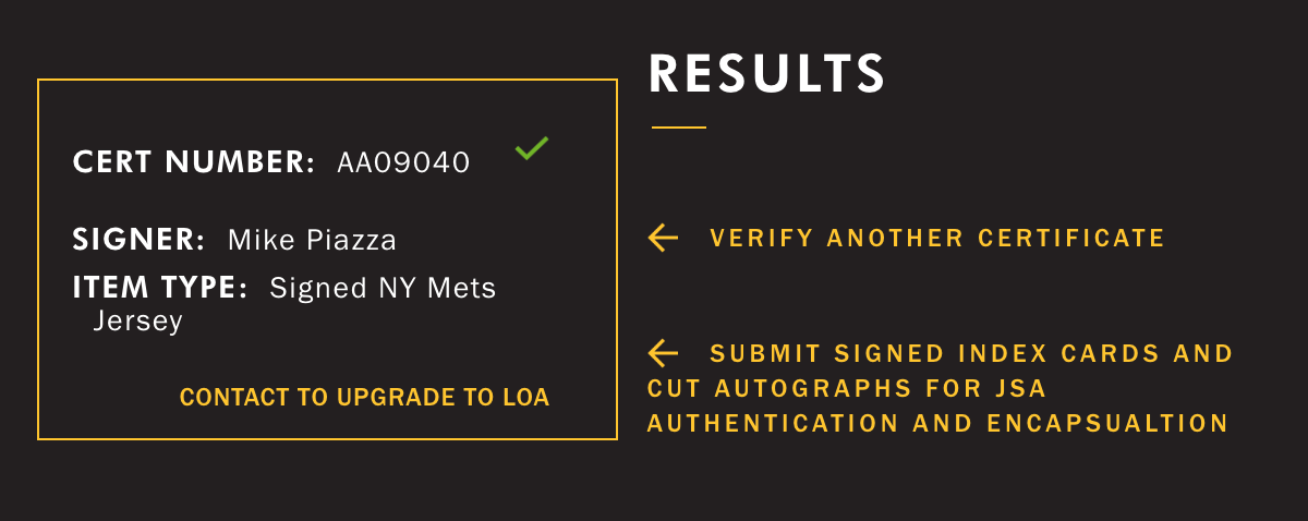 Mike Piazza Signed Stat Jersey Framed Mets HOF 2016 #31 Retired 12x A.S Auto JSA