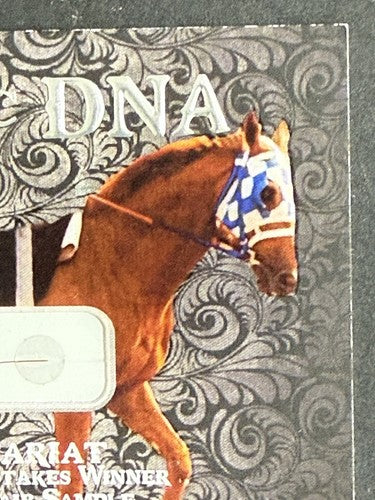 Secretariat SP 2020 Historical Dna Hair Strand 1973 Belmont Triple Crown /247
