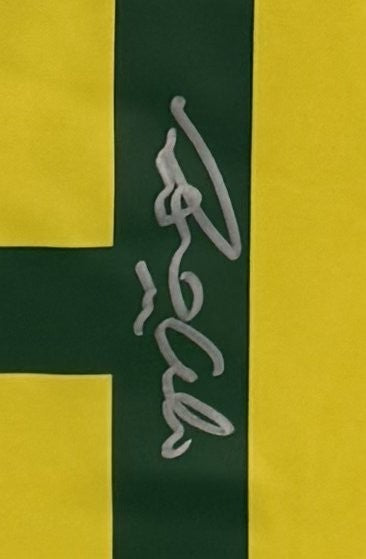 Ronaldo Nazario Signed Nike Brazil CBF  #9 Jersey Mint Auto BAS COA