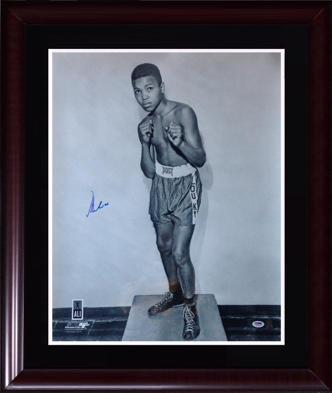 Muhammad Ali Cassius Clay Signed 20x24 photo framed auto PSA /DNA Ali holo COA