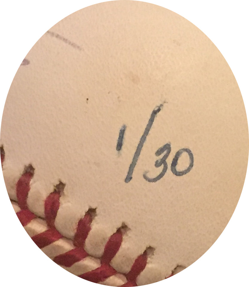 Magglio Ordonez Signed OML Engraved Stat Baseball LTD 1/30 Auto Steiner MLB COA
