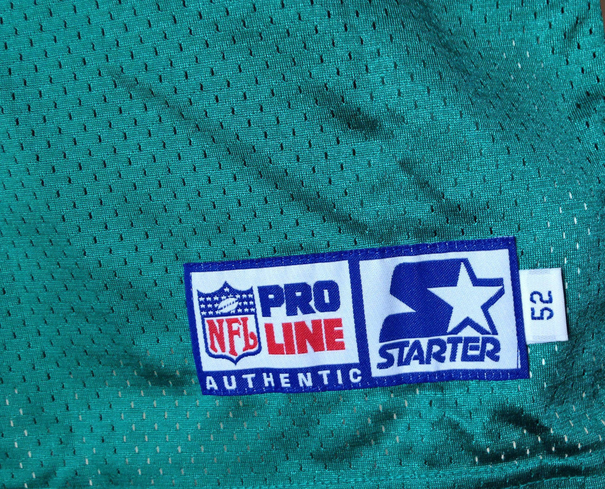 Dan Marino signed authentic hand painted Dolphins jersey auto UDA COA /13 Jessie