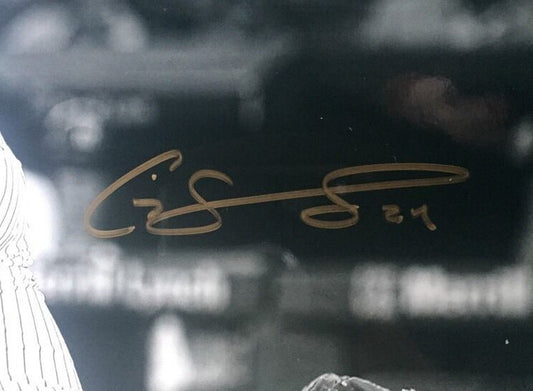 Gary Sanchez Yankees signed 8x10 Metallic photo Gold ROOKIE auto framed Steiner