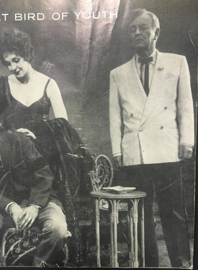 Paul Newman Sweet Bird Of Youth Playbill 1959 Geraldine Page Martin Beck Theatre