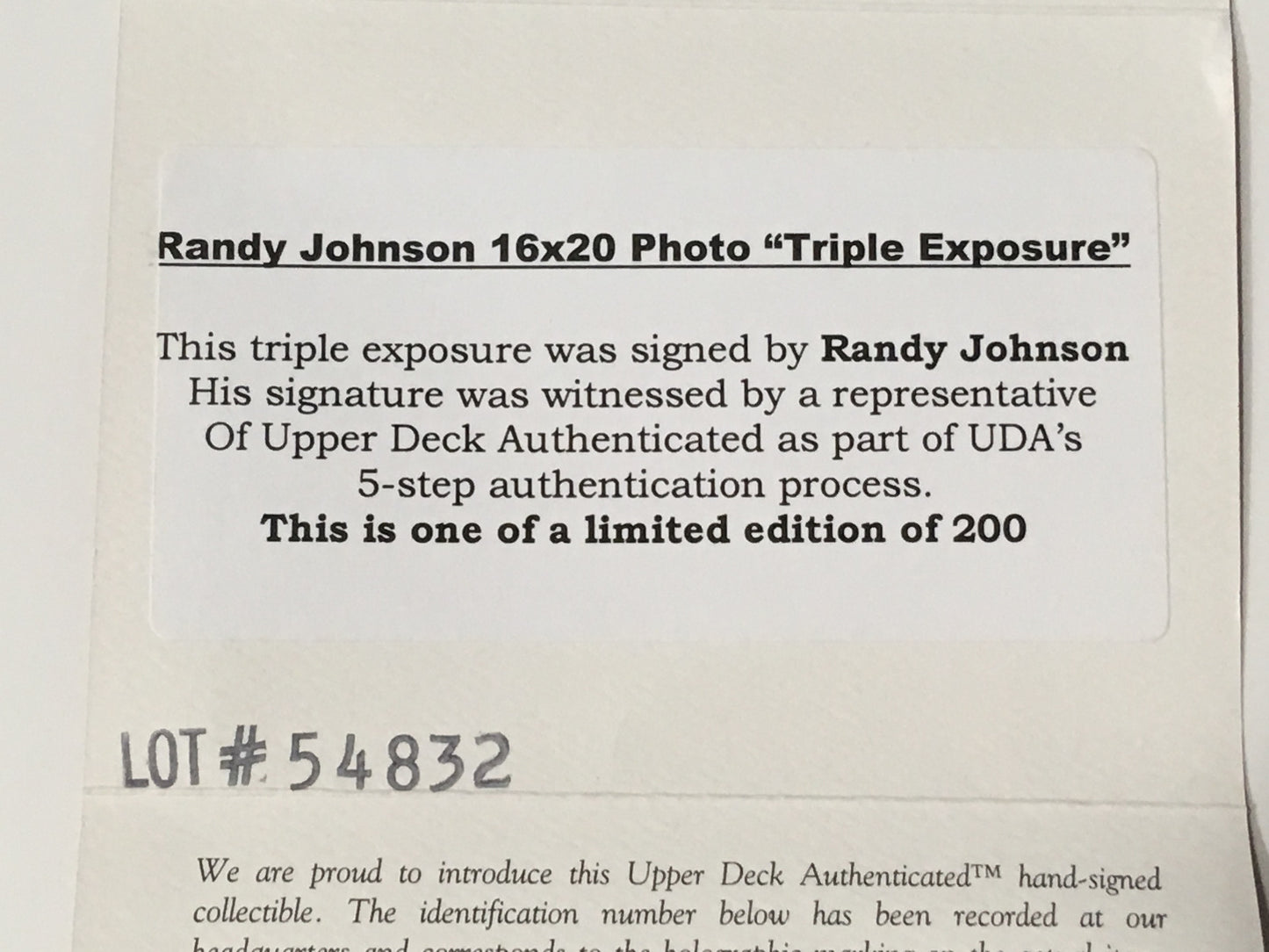 Randy Johnson Diamondbacks signed 16x20 framed photo autograph HOF UDA COA /200