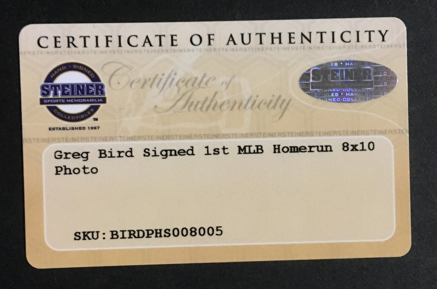 Greg Bird signed 8x10 1st HR photo framed Yankees coin autograph Steiner COA