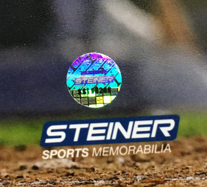 Tyler Austin signed 8x10 walk off HR photo framed yankees coin auto Steiner COA