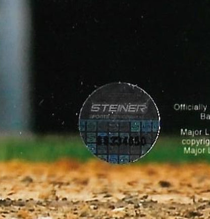 Greg Bird signed 8x10 1st HR photo framed Yankees autograph Steiner COA
