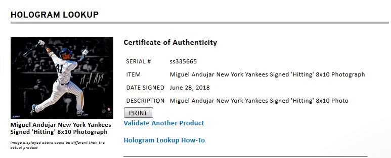Miguel Andujar signed 8x10 photo framed Yankees rookie auto Steiner COA