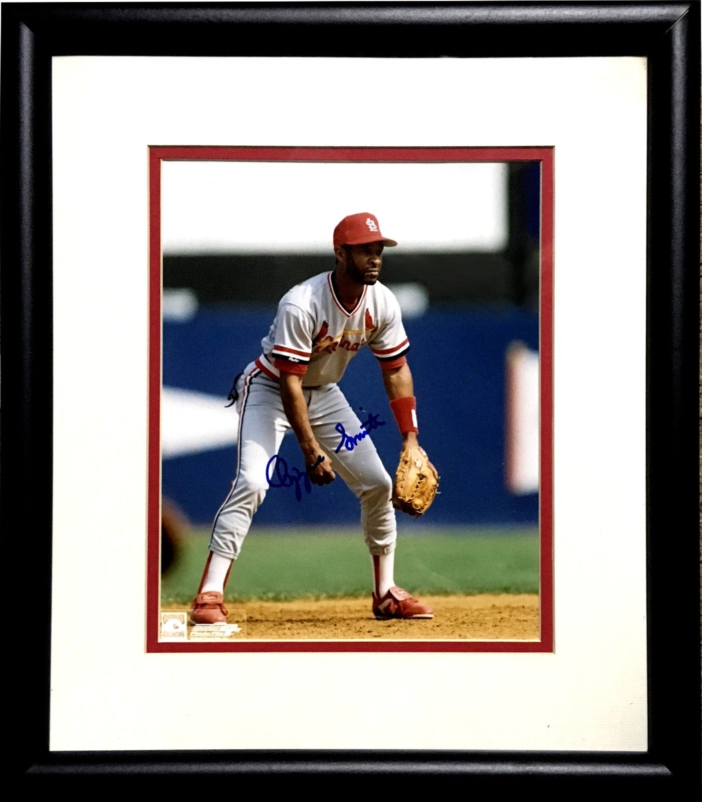 Ozzie Smith Cardinals signed 8x10 photo framed autograph HOF CBM COA