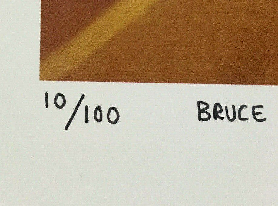 Jeff Frankel signed Bruce Springsteen 1978 MSG NYC Photo framed auto COA /100