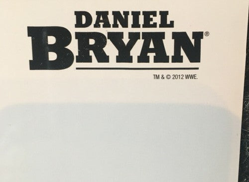 DANIEL BRYAN 8x10 PHOTO TNA WWE Wrestling ECW NXT TNA ALL ELITE Champion