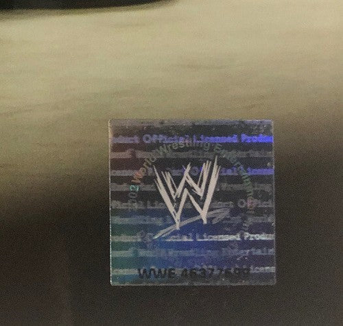 Edge WWE Wrestling 8x10 Photo licensed hologram PhotoFile