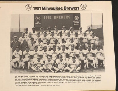 1981 ALDS Yankees v Brewers Official Souvenir Program Yankee Stadium October