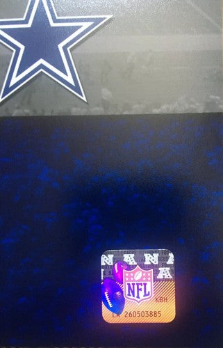 Dallas Cowboys TEXAS STADIUM 16x20 Photo Goodbye Photo file NFL Holo Rare
