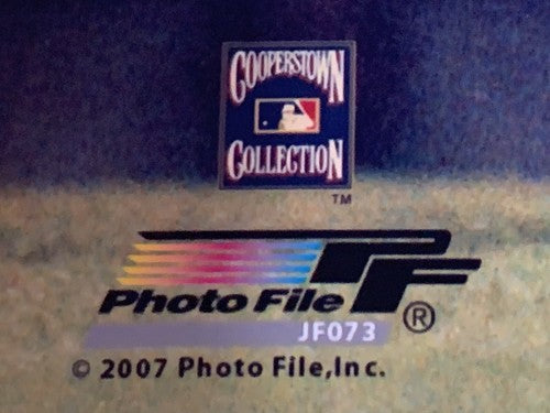 Joe Girardi Chrome Licensed 8x10 Photo File Yankees Manager World Series