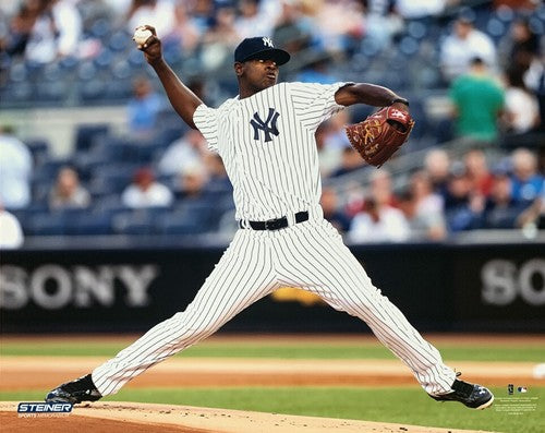 Luis Severino New York Yankees 8x10 Action Photo Mlb Licensed & Steiner