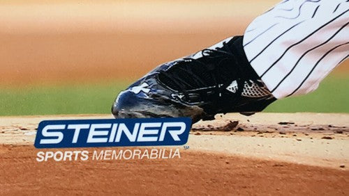 Luis Severino New York Yankees 8x10 Action Photo Mlb Licensed & Steiner