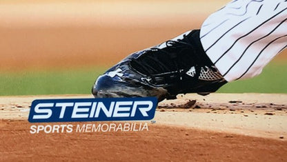 Luis Severino New York Yankees 8x10 Action Photo Mlb Licensed & Steiner