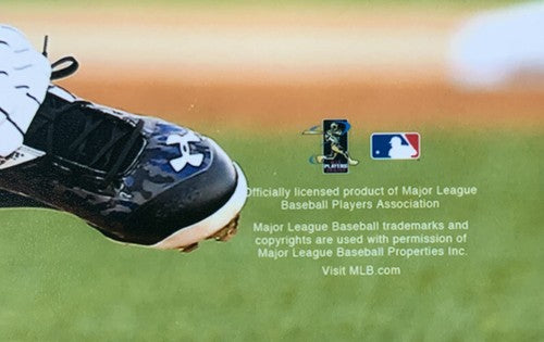 Luis Severino New York Yankees 8x10 Action Photo Mlb Licensed & Steiner