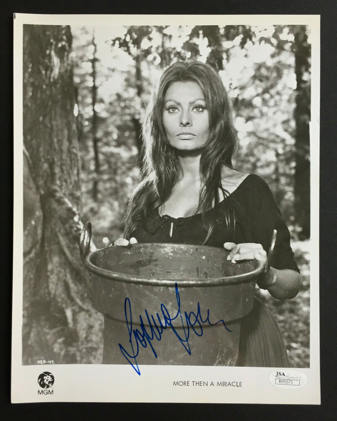 Sophia Loren signed 8x10 More Than a Miracle Studio Lobby photo mint Auto JSA