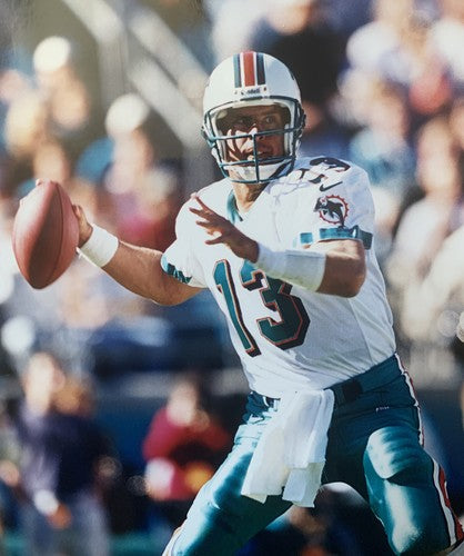 Dan Marino Miami Dolphins Original Photo File 8 X 10 Action Licensed Holo Nfl