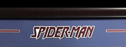 Marvel Spider-Man Stan Lee Signed 16x20 Framed Photo Auto SLC COA Hologram