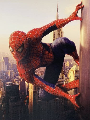Marvel Spider-Man Stan Lee Signed 16x20 Framed Photo Auto SLC COA Hologram