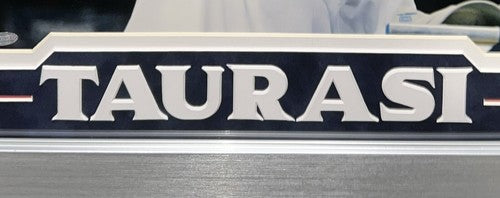 Diana Taurasi 16x20 Signed INS Photo Framed UCONN Natl Champion Auto Steiner 1/1