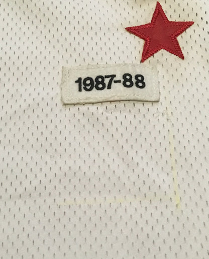 Larry Bird M & Ness 1987-88 #33 NBA All Star Game Jersey Celtics