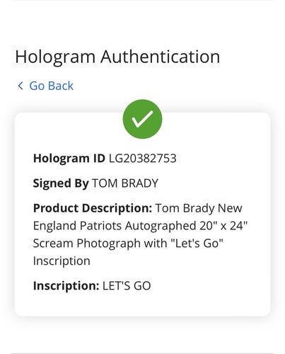 Tom Brady Patriots Signed 20x24 Photo Framed Super Bowl Let’s Go Auto Fanatics