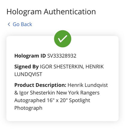 Igor Shesterkin Henrik Lundqvist Rangers Signed 16x20 Framed Photo Auto Fanatics