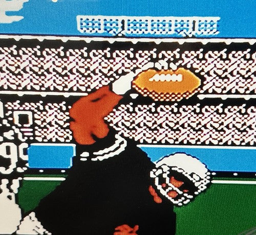 Bo Jackson Signed 1989 Tecmo Bowl Nintendo 16x20 Framed Photo Raiders Auto BAS