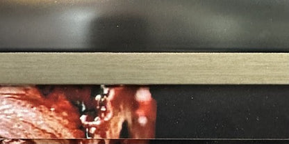Arnold Schwarzenegger Signed Framed 3D Photo Collage Terminator Cut Auto JSA Coa