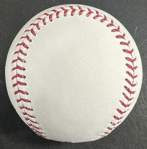 Mike Piazza Signed Official MLB Baseball Mets HOF 16 Autograph Steiner MLB COA