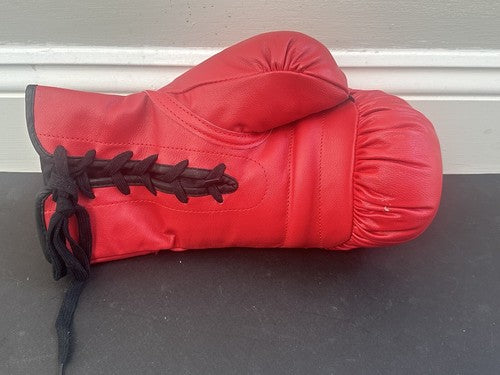 Muhammad Ali Signed Everlast Boxing Glove BAS 10  Gem Mint Graded Auto PSA COA