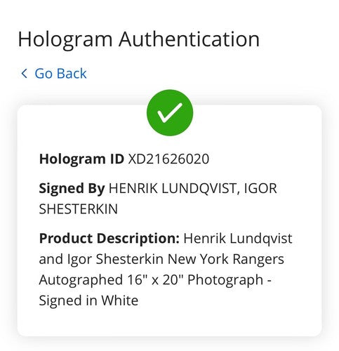 Igor Shesterkin Henrik Lundqvist Rangers Signed 16x20 Framed Photo Auto Fanatics